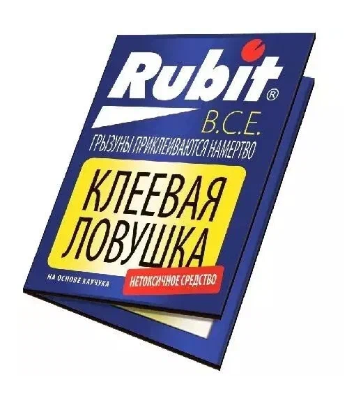 Снимок экрана 2025-10-10 090244
