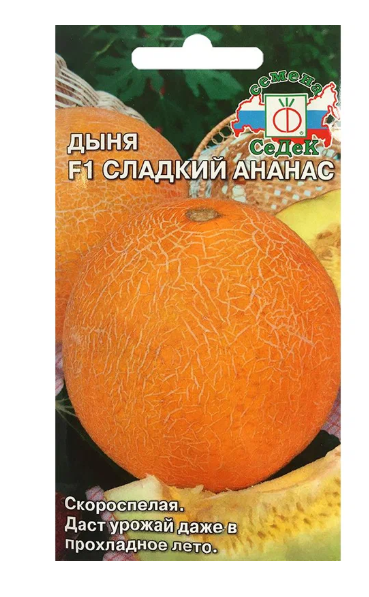 Снимок экрана 2025-09-29 084518