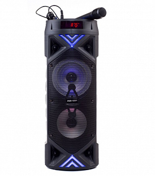 Колонка портативная большая ZQS-6201W
