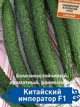 Семена Огурец, Аллигатор 4 F1, цветная упаковка, Седек