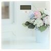 96d2a4ba-3fb0-4d6a-88bc-0607f4c79583