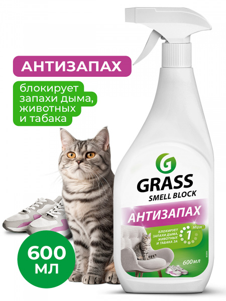 0a19ae0a-5e19-430d-b80f-98a3fdf3879e