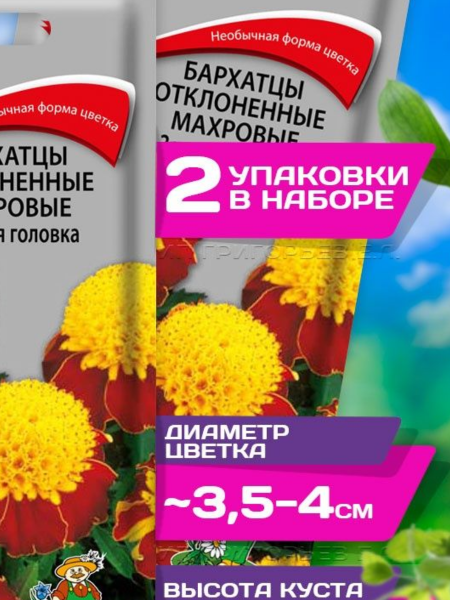 ec445922-e06a-4b3a-aecb-115d1d2758e2