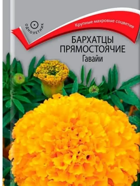 f83a5936-5bb6-43d1-a2ea-4f3619c3c2ac