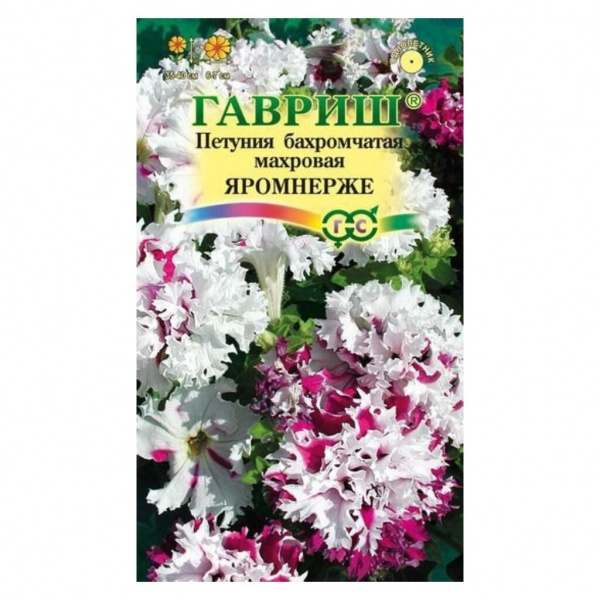 c6380f12-6db7-47e5-90ad-654aef862f71